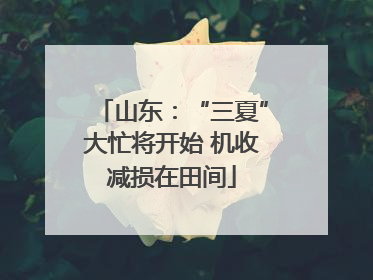 山东：“三夏”大忙将开始 机收减损在田间