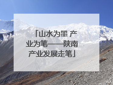 山水为墨 产业为笔——陕南产业发展走笔