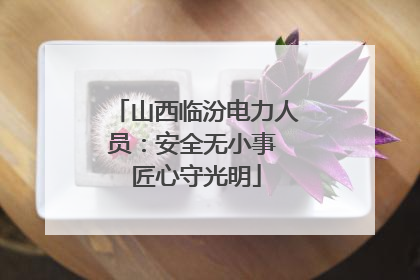 山西临汾电力人员：安全无小事 匠心守光明
