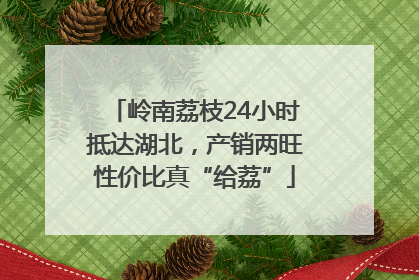 岭南荔枝24小时抵达湖北，产销两旺性价比真“给荔”