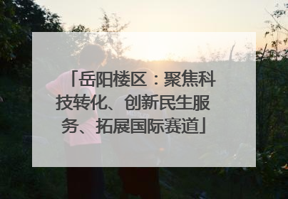 岳阳楼区：聚焦科技转化、创新民生服务、拓展国际赛道