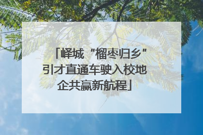 峄城“榴枣归乡”引才直通车驶入校地企共赢新航程