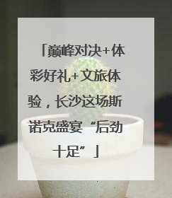 巅峰对决+体彩好礼+文旅体验，长沙这场斯诺克盛宴“后劲十足”
