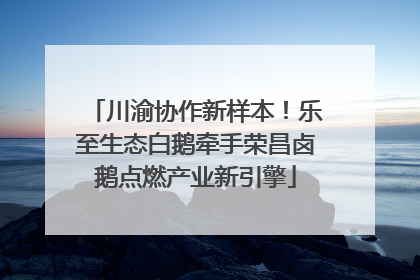 川渝协作新样本！乐至生态白鹅牵手荣昌卤鹅点燃产业新引擎