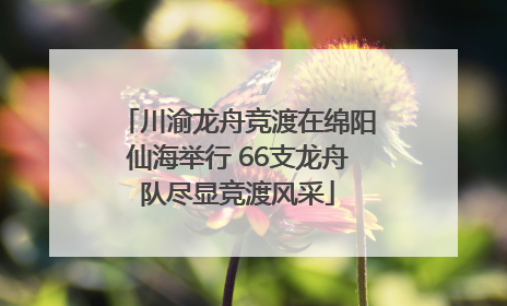川渝龙舟竞渡在绵阳仙海举行 66支龙舟队尽显竞渡风采