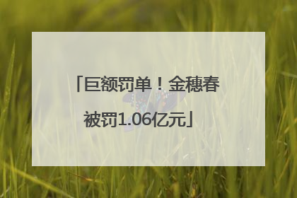 巨额罚单！金穗春被罚1.06亿元