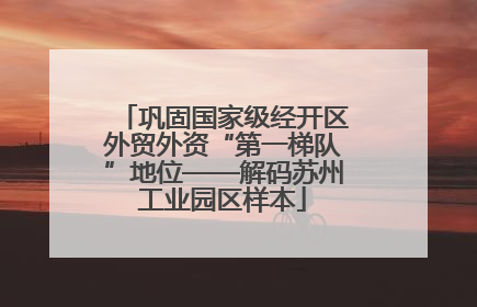 巩固国家级经开区外贸外资“第一梯队”地位——解码苏州工业园区样本