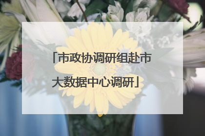 市政协调研组赴市大数据中心调研