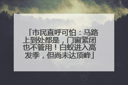 市民直呼可怕：马路上到处都是，门窗紧闭也不管用！白蚁进入高发季，但尚未达顶峰