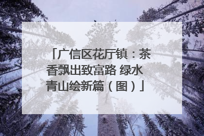 广信区花厅镇：茶香飘出致富路 绿水青山绘新篇（图）
