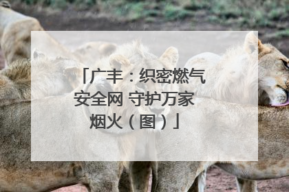 广丰：织密燃气安全网 守护万家烟火（图）