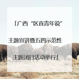 广西“区直青年说”主题宣讲暨五四示范性主题团日活动举行