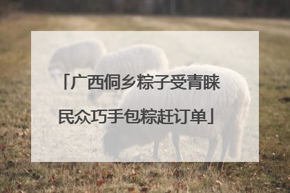 广西侗乡粽子受青睐 民众巧手包粽赶订单