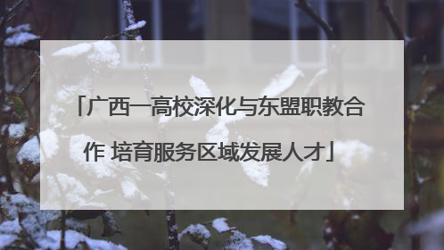 广西一高校深化与东盟职教合作 培育服务区域发展人才