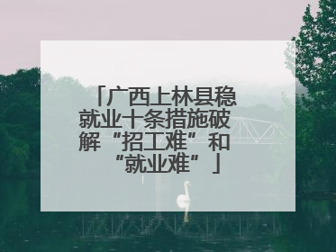 广西上林县稳就业十条措施破解“招工难”和“就业难”