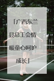 广西东兰县总工会情暖童心呵护成长