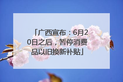 广西宣布：6月20日之后，暂停消费品以旧换新补贴