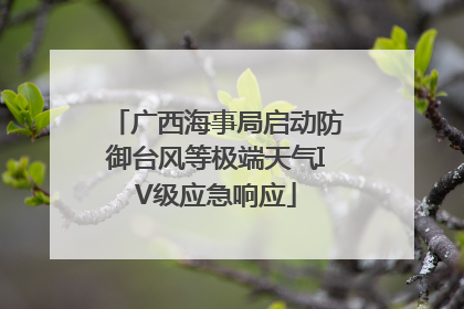 广西海事局启动防御台风等极端天气IV级应急响应