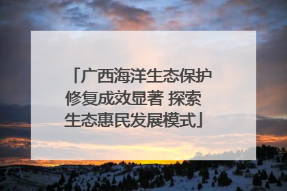 广西海洋生态保护修复成效显著 探索生态惠民发展模式