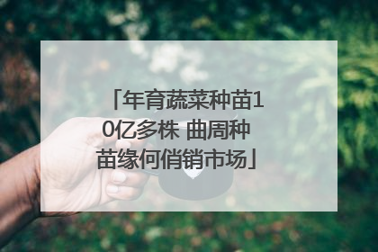 年育蔬菜种苗10亿多株 曲周种苗缘何俏销市场