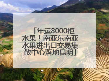 年运8000柜水果！南亚东南亚水果进出口交易集散中心落地昆明