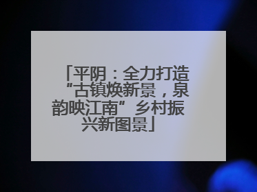 平阴：全力打造“古镇焕新景，泉韵映江南”乡村振兴新图景