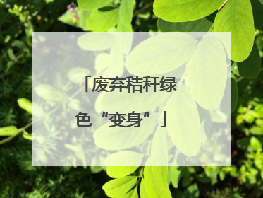 废弃秸秆绿色“变身”