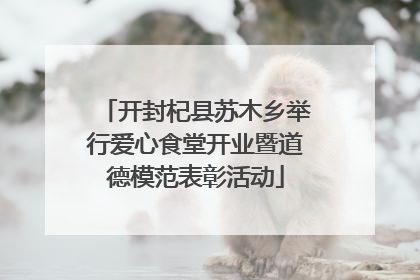 开封杞县苏木乡举行爱心食堂开业暨道德模范表彰活动