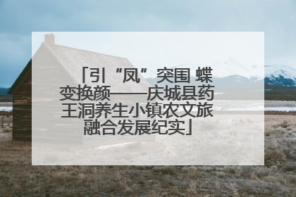 引“凤”突围 蝶变换颜——庆城县药王洞养生小镇农文旅融合发展纪实