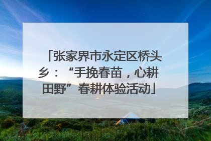 张家界市永定区桥头乡：“手挽春苗，心耕田野”春耕体验活动