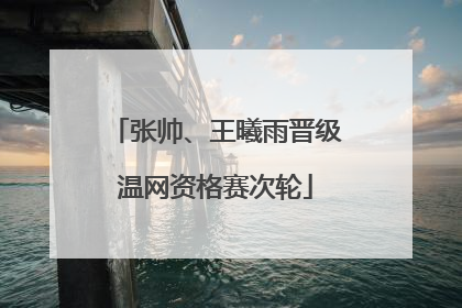 张帅、王曦雨晋级温网资格赛次轮