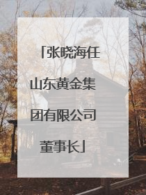 张晓海任山东黄金集团有限公司董事长