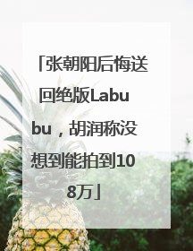 张朝阳后悔送回绝版Labubu，胡润称没想到能拍到108万