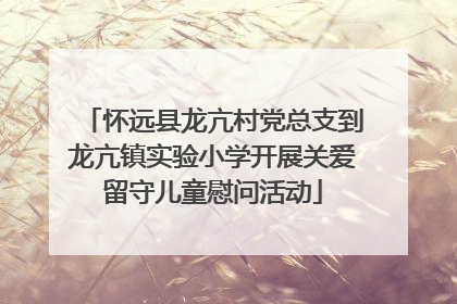 怀远县龙亢村党总支到龙亢镇实验小学开展关爱留守儿童慰问活动