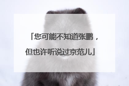 您可能不知道张鹏，但也许听说过京范儿