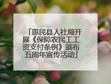 惠民县人社局开展《保障农民工工资支付条例》颁布五周年宣传活动