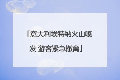 意大利埃特纳火山喷发 游客紧急撤离