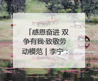 感恩奋进 双争有我·致敬劳动模范｜李宁：行走在高空的“电网卫士”