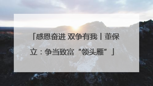 感恩奋进 双争有我丨董保立：争当致富“领头雁”