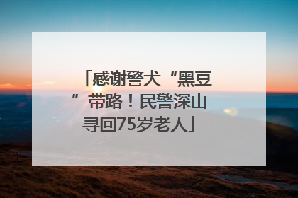 感谢警犬“黑豆”带路！民警深山寻回75岁老人