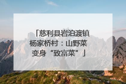 慈利县岩泊渡镇杨家桥村：山野菜变身“致富菜”