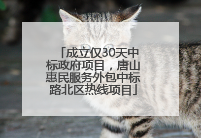 成立仅30天中标政府项目，唐山惠民服务外包中标路北区热线项目