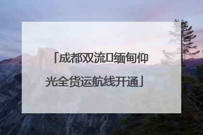 成都双流⇌缅甸仰光全货运航线开通