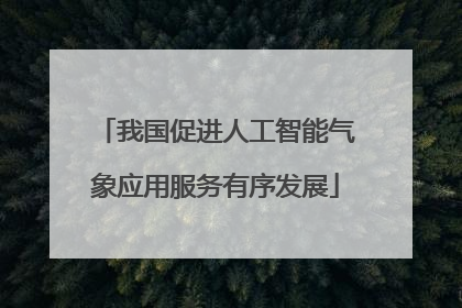 我国促进人工智能气象应用服务有序发展