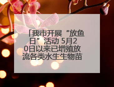 我市开展“放鱼日”活动 5月20日以来已增殖放流各类水生生物苗种5.1亿单位