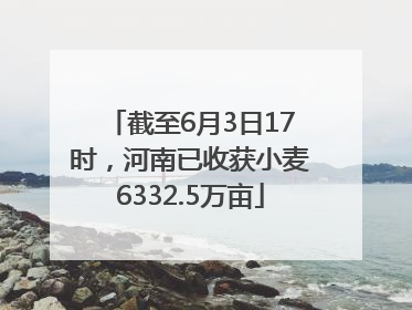 截至6月3日17时，河南已收获小麦6332.5万亩