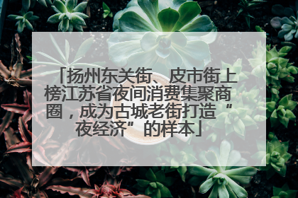 扬州东关街、皮市街上榜江苏省夜间消费集聚商圈，成为古城老街打造“夜经济”的样本