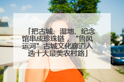 把古城、湿地、纪念馆串成珍珠链，“鲁风运河”古城文化廊道入选十大最美农村路