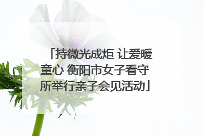 持微光成炬 让爱暖童心 衡阳市女子看守所举行亲子会见活动