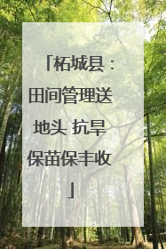 柘城县：田间管理送地头 抗旱保苗保丰收